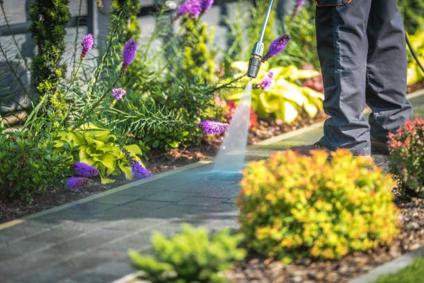 Professional  Pressure Washing Services in Penbrook, PA